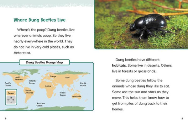 Dung Beetles