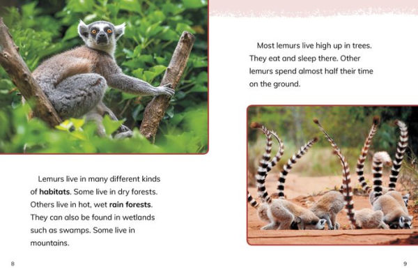 Lemurs