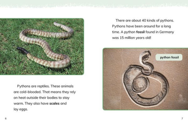 Pythons