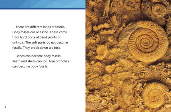 Fossils