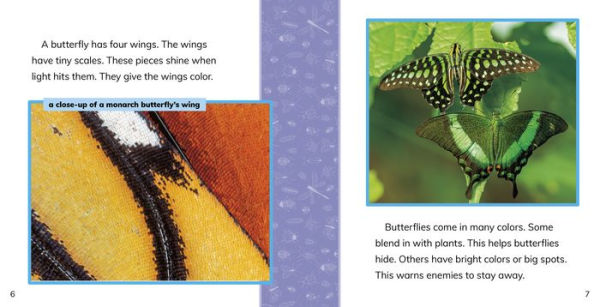 Fast Facts About Butterflies