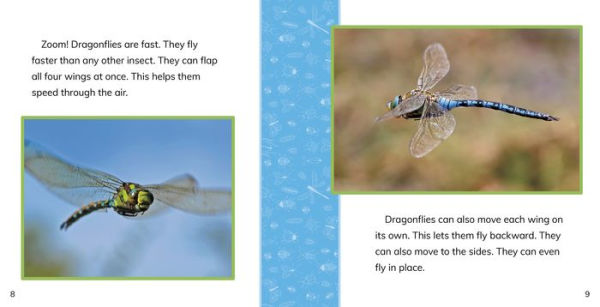 Fast Facts About Dragonflies