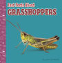 Fast Facts About Grasshoppers