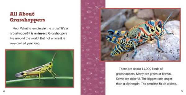 Fast Facts About Grasshoppers