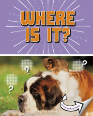 Title: Where Is It?: A Turn-and-See Book, Author: Cari Meister