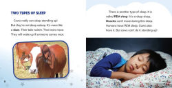 Alternative view 7 of Why Do Cows Sleep Standing Up?: Answering Kids' Questions