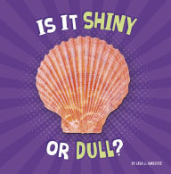 Title: Is It Shiny or Dull?, Author: Lisa J. Amstutz