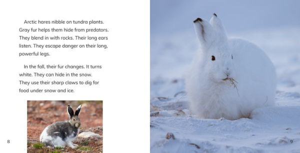 Animals of the Arctic Tundra