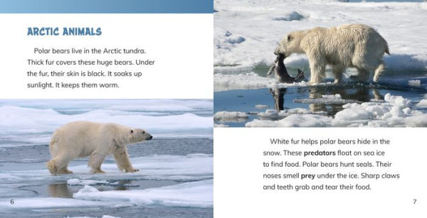 Animals of the Arctic Tundra