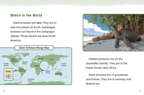 Giant Tortoises