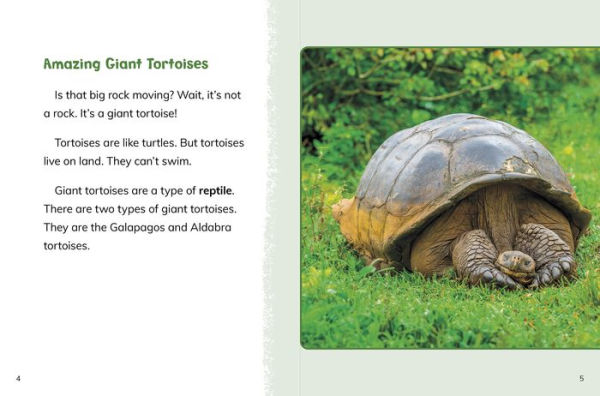 Giant Tortoises