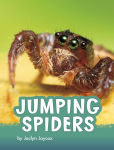 Alternative view 1 of Jumping Spiders