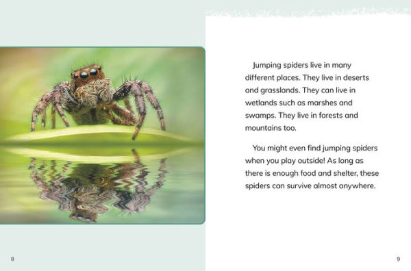 Jumping Spiders