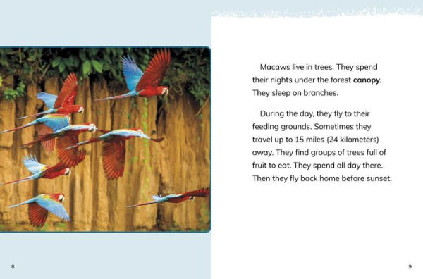 Macaws