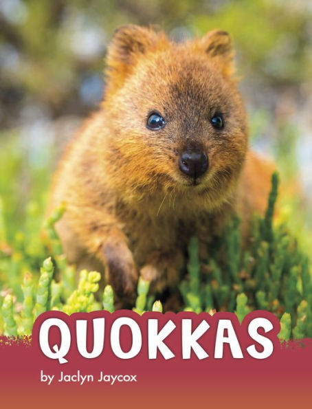 Quokkas