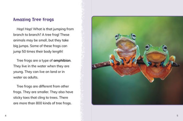 Tree Frogs