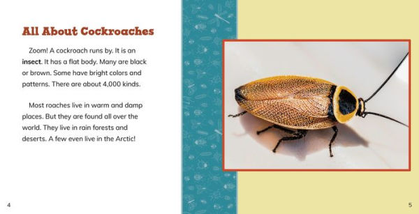 Fast Facts About Cockroaches