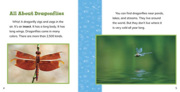 Fast Facts About Dragonflies