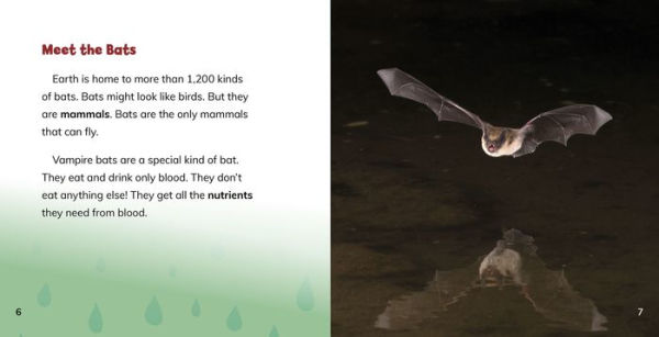 Do Vampire Bats Really Drink Blood?: Answering Kids' Questions