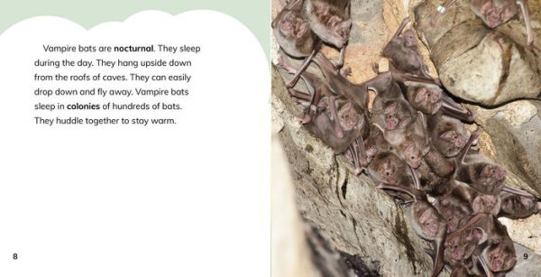 Do Vampire Bats Really Drink Blood?: Answering Kids' Questions