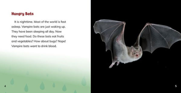 Do Vampire Bats Really Drink Blood?: Answering Kids' Questions