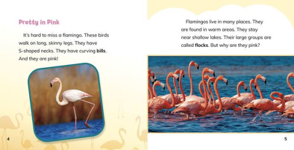 Why Are Flamingos Pink?: Answering Kids' Questions