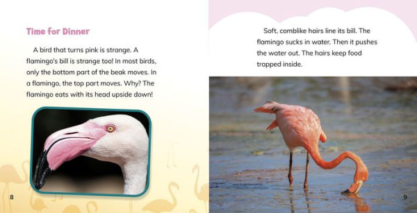 Why Are Flamingos Pink?: Answering Kids' Questions