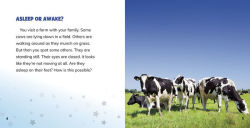 Alternative view 9 of Why Do Cows Sleep Standing Up?: Answering Kids' Questions