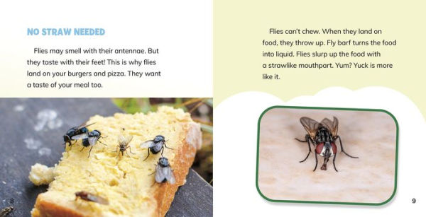 Why Do Flies Like Gross Stuff?: Answering Kids' Questions