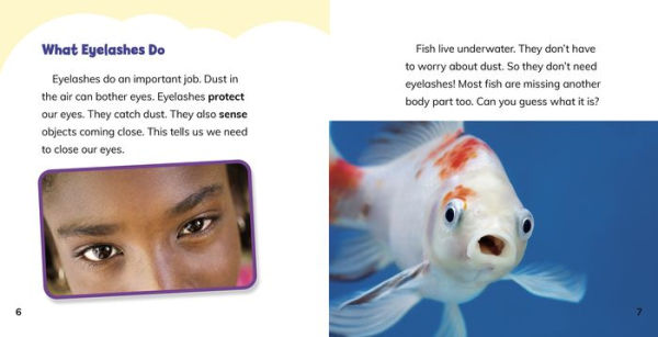 Why Don't Fish Have Eyelashes?: Answering Kids' Questions