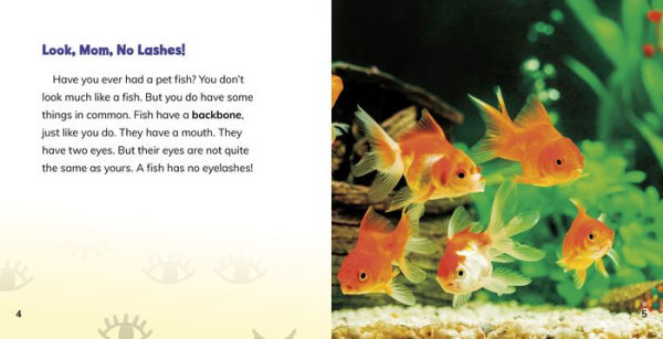Why Don't Fish Have Eyelashes?: Answering Kids' Questions