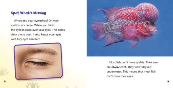 Why Don't Fish Have Eyelashes?: Answering Kids' Questions