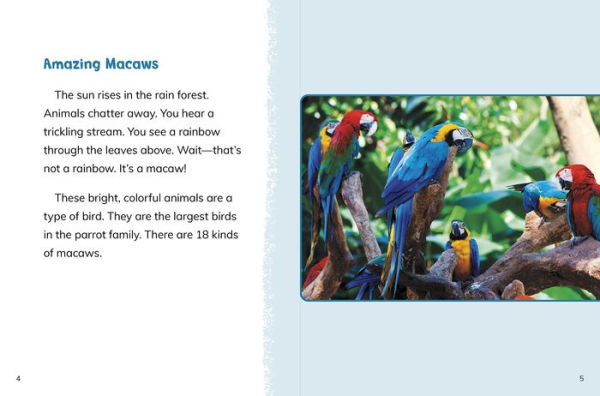 Macaws