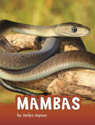 Title: Mambas, Author: Jaclyn Jaycox