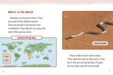 Alternative view 9 of Mambas