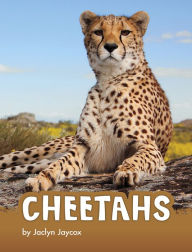 Title: Cheetahs, Author: Jaclyn Jaycox