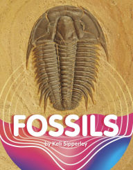 Title: Fossils, Author: Keli Sipperley