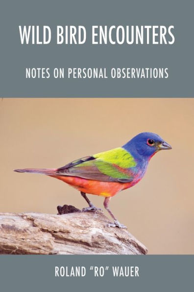 Wild Bird Encounters: Notes on Personal Observations