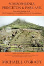 Schizophrenia, Princeton & Park Ave.: Hope on the Marathon of Life, My 60 Year Journey of Mental Illness, Recovery & Accomplishment