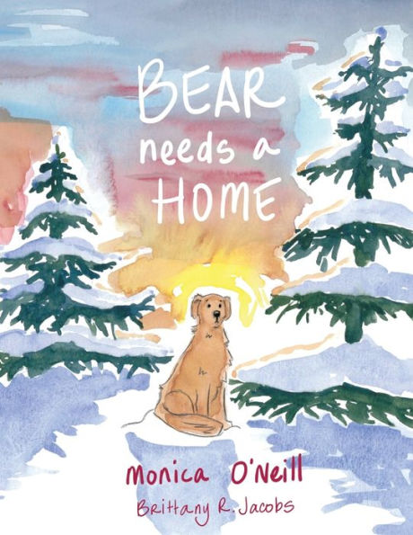 Bear Needs A Home