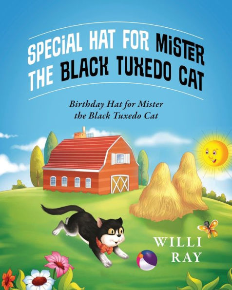 Special Hat for Mister the Black Tuxedo Cat: Birthday Cat.