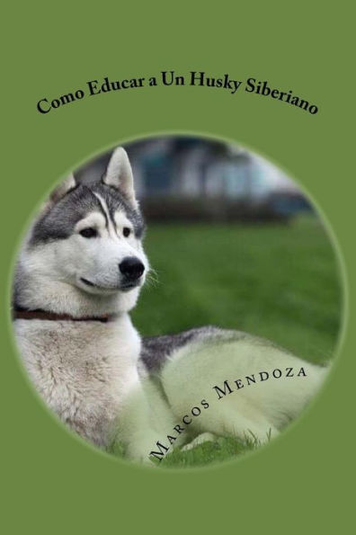 Como Educar a Un Husky Siberiano