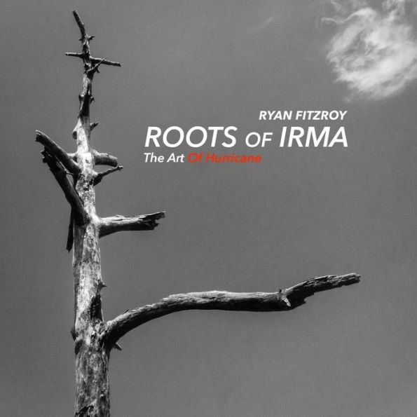 Roots of Irma