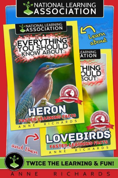 Everything You Should Know About: Herons and Lovebirds