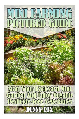 Mini Farming Pictured Guide Start Your Backyard Mini Garden And