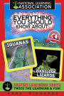 Everything You Should Know About: Iguanas and Basilisk Lizards