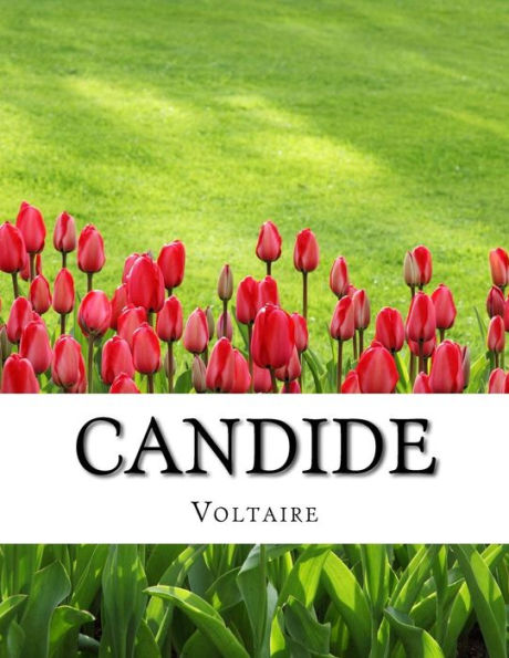 Candide