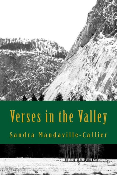 Verses in the Valley: Poems and Prayers for Pursuing Your Purpose