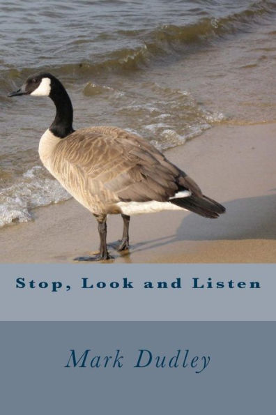 Stop, Look and Listen