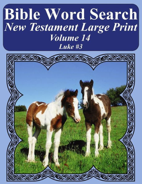 Bible Word Search New Testament Large Print Volume 14: Luke #3